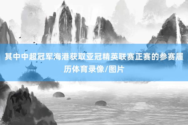 其中中超冠军海港获取亚冠精英联赛正赛的参赛履历体育录像/图片