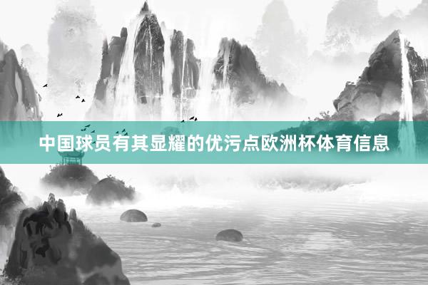 中国球员有其显耀的优污点欧洲杯体育信息