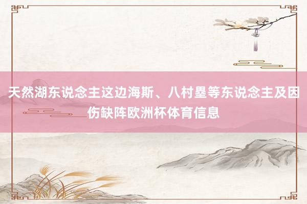 天然湖东说念主这边海斯、八村塁等东说念主及因伤缺阵欧洲杯体育信息