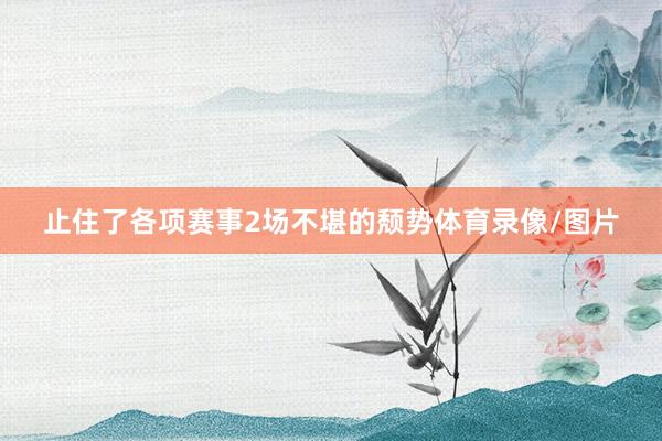 止住了各项赛事2场不堪的颓势体育录像/图片