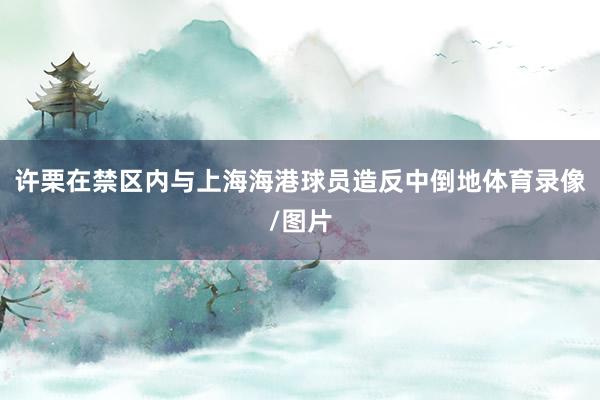 许栗在禁区内与上海海港球员造反中倒地体育录像/图片
