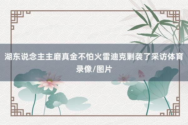 湖东说念主主磨真金不怕火雷迪克剿袭了采访体育录像/图片