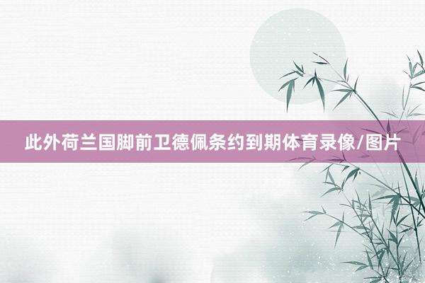 此外荷兰国脚前卫德佩条约到期体育录像/图片