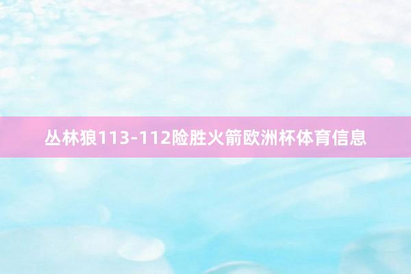 丛林狼113-112险胜火箭欧洲杯体育信息