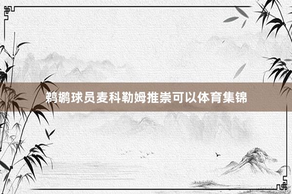 鹈鹕球员麦科勒姆推崇可以体育集锦
