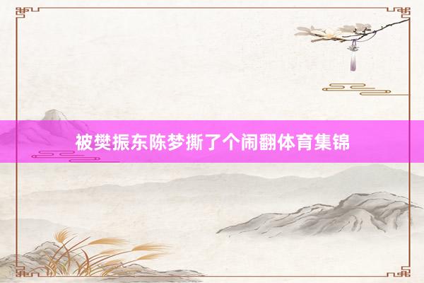 被樊振东陈梦撕了个闹翻体育集锦