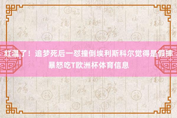 红温了！追梦死后一怼撞倒埃利斯科尔觉得是假摔暴怒吃T欧洲杯体育信息