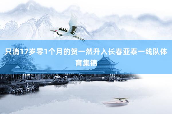 只消17岁零1个月的贺一然升入长春亚泰一线队体育集锦