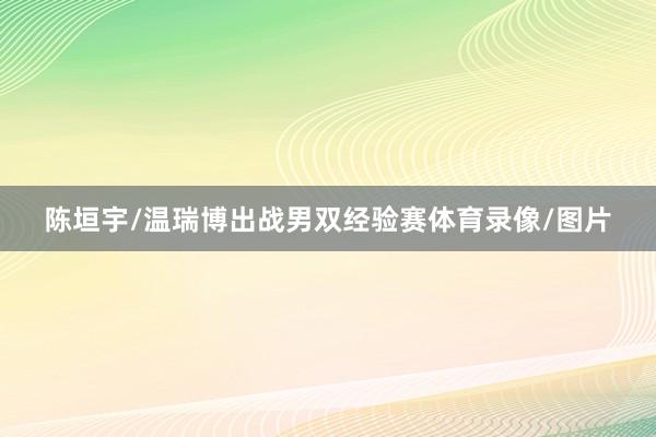 陈垣宇/温瑞博出战男双经验赛体育录像/图片