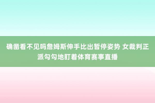 确凿看不见吗詹姆斯伸手比出暂停姿势 女裁判正派勾勾地盯着体育赛事直播