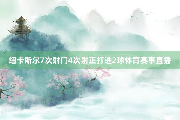 纽卡斯尔7次射门4次射正打进2球体育赛事直播