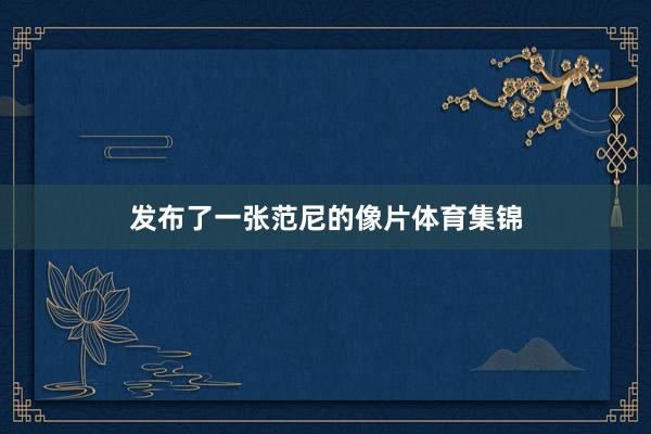 发布了一张范尼的像片体育集锦