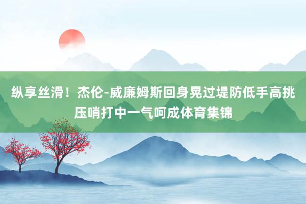纵享丝滑！杰伦-威廉姆斯回身晃过堤防低手高挑压哨打中一气呵成体育集锦