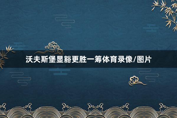沃夫斯堡显豁更胜一筹体育录像/图片