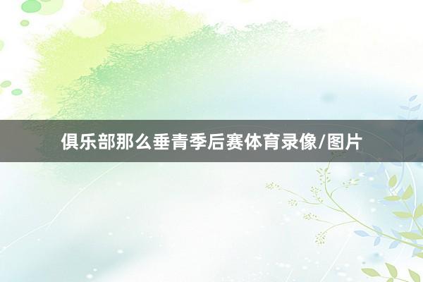 俱乐部那么垂青季后赛体育录像/图片