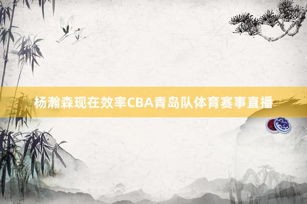 杨瀚森现在效率CBA青岛队体育赛事直播