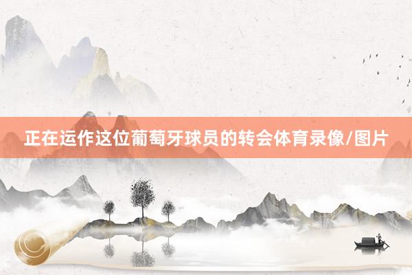 正在运作这位葡萄牙球员的转会体育录像/图片