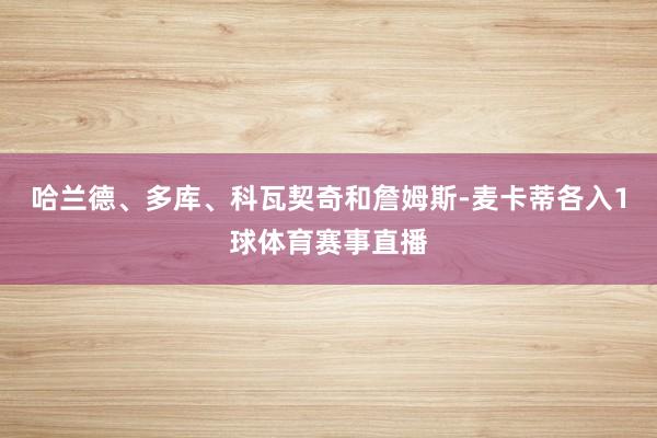 哈兰德、多库、科瓦契奇和詹姆斯-麦卡蒂各入1球体育赛事直播