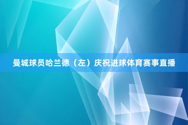 曼城球员哈兰德（左）庆祝进球体育赛事直播