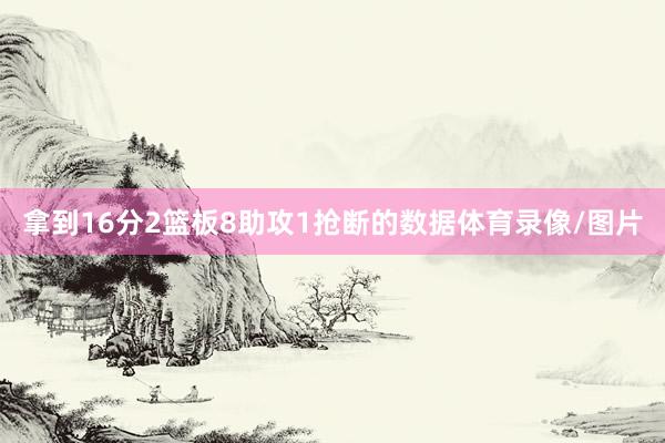 拿到16分2篮板8助攻1抢断的数据体育录像/图片