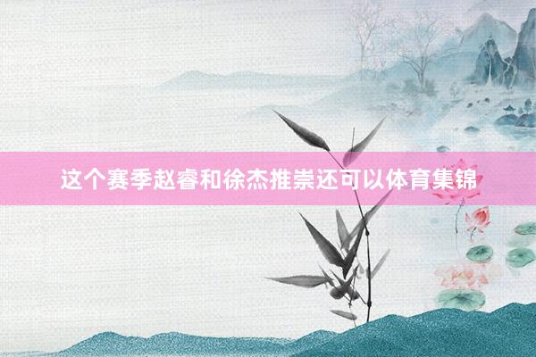 这个赛季赵睿和徐杰推崇还可以体育集锦