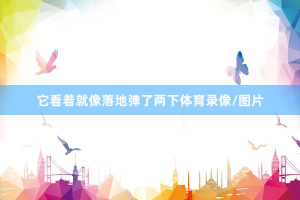 它看着就像落地弹了两下体育录像/图片
