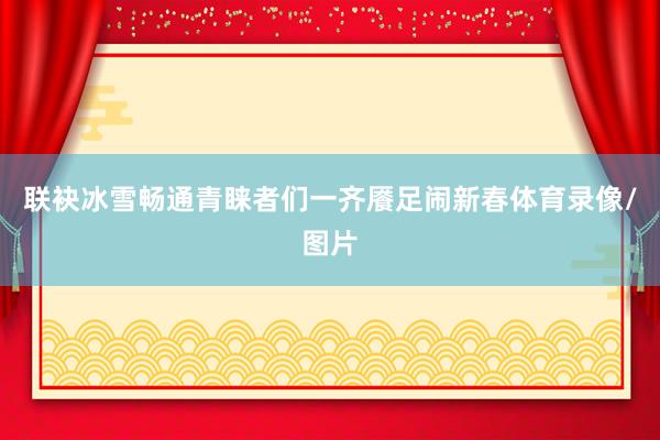 联袂冰雪畅通青睐者们一齐餍足闹新春体育录像/图片