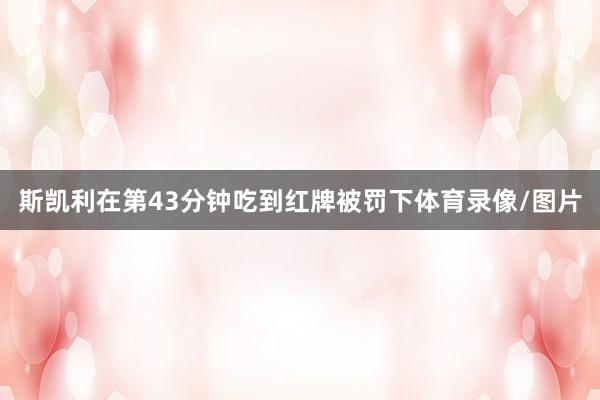 斯凯利在第43分钟吃到红牌被罚下体育录像/图片