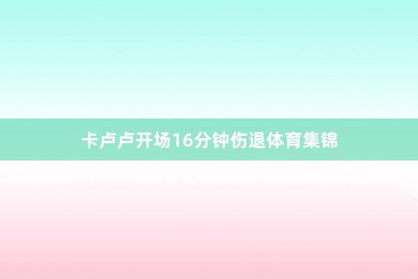 卡卢卢开场16分钟伤退体育集锦