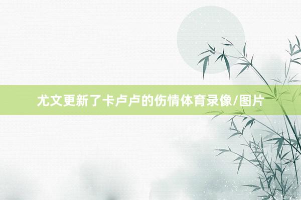 尤文更新了卡卢卢的伤情体育录像/图片