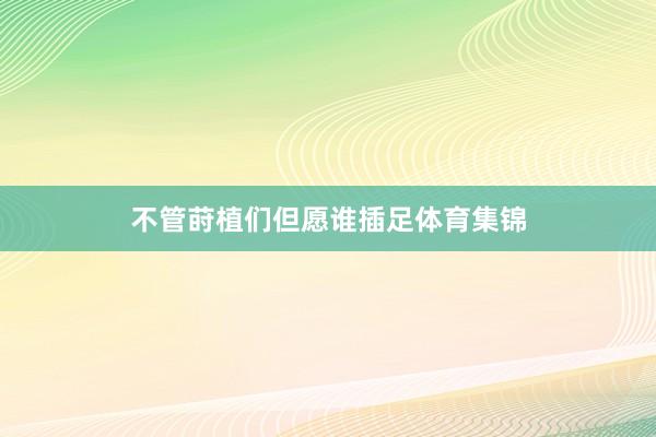 不管莳植们但愿谁插足体育集锦