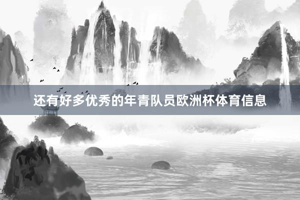还有好多优秀的年青队员欧洲杯体育信息