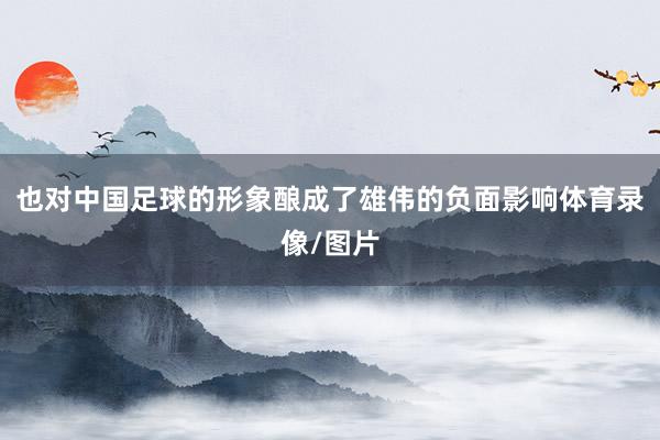 也对中国足球的形象酿成了雄伟的负面影响体育录像/图片