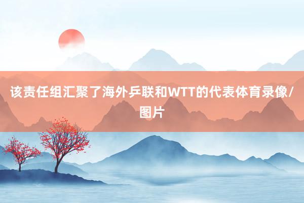 该责任组汇聚了海外乒联和WTT的代表体育录像/图片