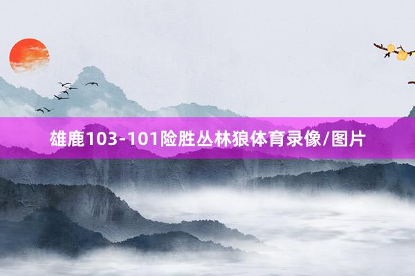 雄鹿103-101险胜丛林狼体育录像/图片