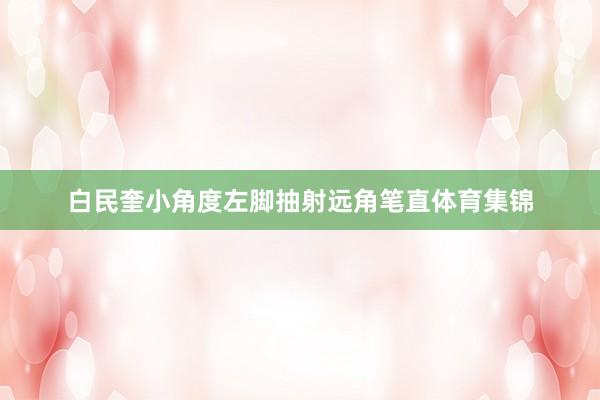 白民奎小角度左脚抽射远角笔直体育集锦