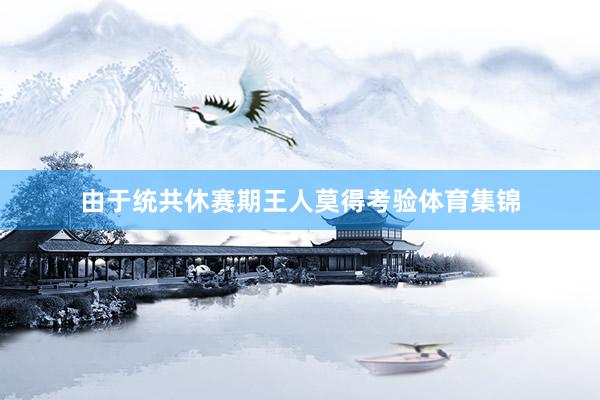 由于统共休赛期王人莫得考验体育集锦