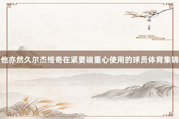 他亦然久尔杰维奇在紧要端重心使用的球员体育集锦