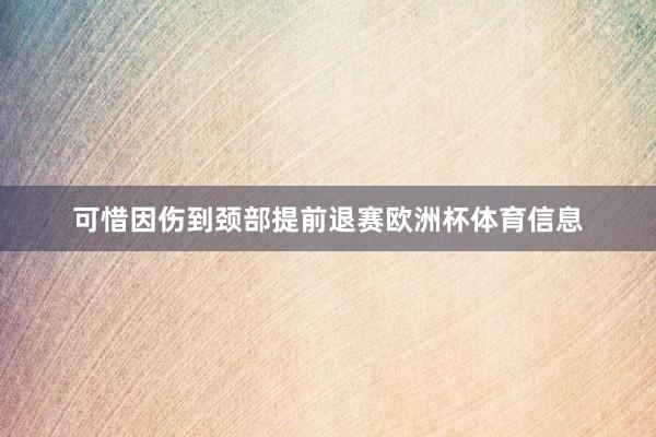 可惜因伤到颈部提前退赛欧洲杯体育信息