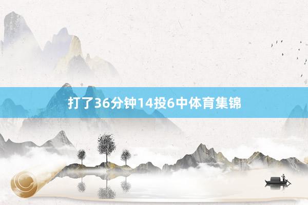 打了36分钟14投6中体育集锦