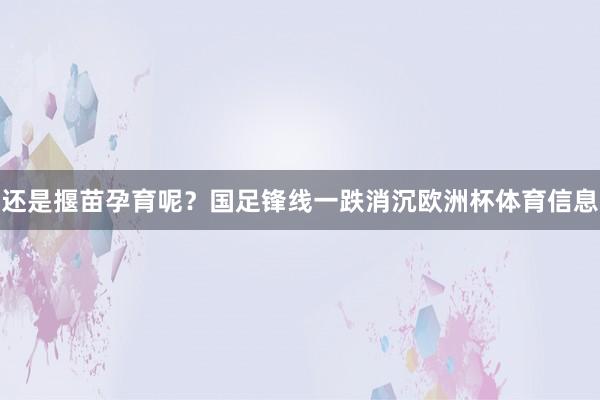 还是揠苗孕育呢？国足锋线一跌消沉欧洲杯体育信息