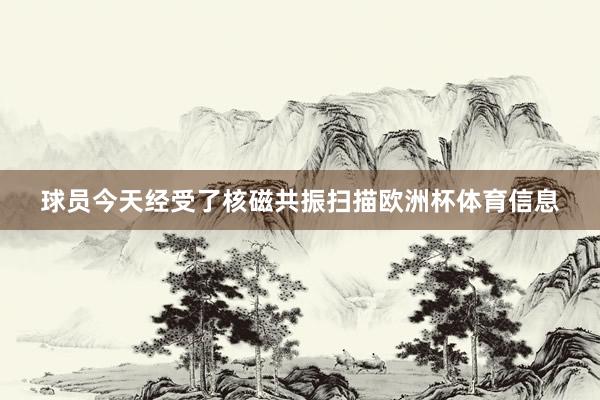 球员今天经受了核磁共振扫描欧洲杯体育信息