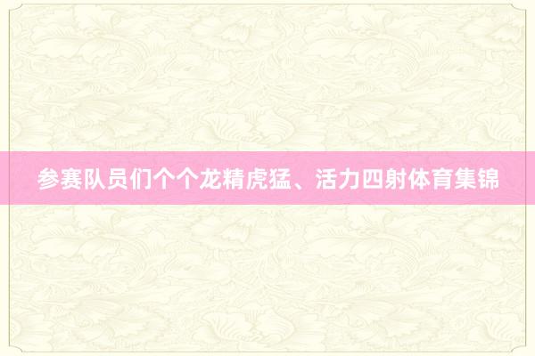 参赛队员们个个龙精虎猛、活力四射体育集锦