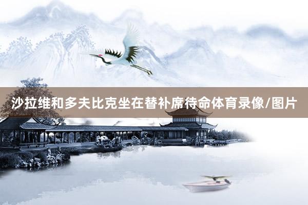 沙拉维和多夫比克坐在替补席待命体育录像/图片