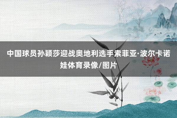 中国球员孙颖莎迎战奥地利选手索菲亚·波尔卡诺娃体育录像/图片