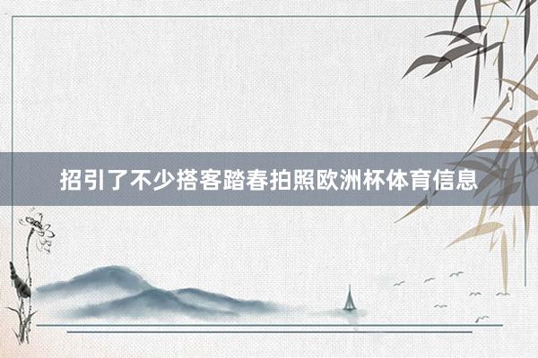 招引了不少搭客踏春拍照欧洲杯体育信息