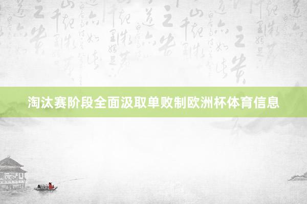 淘汰赛阶段全面汲取单败制欧洲杯体育信息