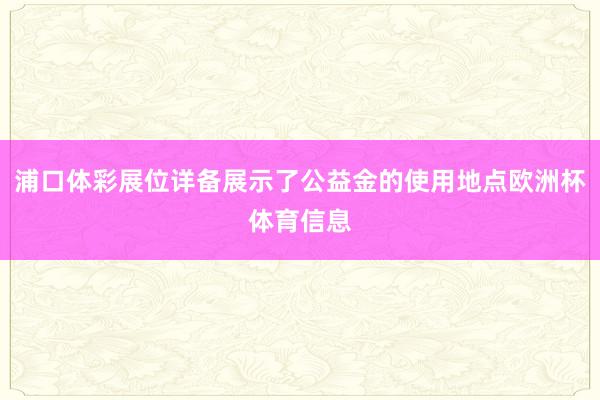 浦口体彩展位详备展示了公益金的使用地点欧洲杯体育信息
