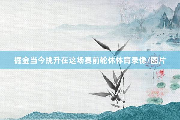 掘金当今挑升在这场赛前轮休体育录像/图片