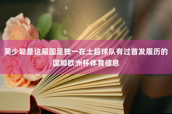 吴少聪是这届国足独一在土超球队有过首发履历的国脚欧洲杯体育信息